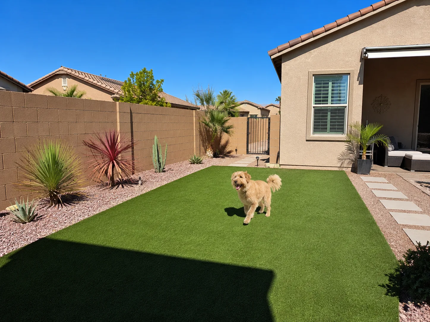 Pet turf dog run Surprise AZ